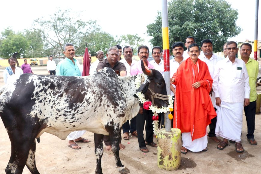ಹಾರಕೂಡ ಶ್ರೀಗಳಿಂದ- ಗೋಮಾತೆಗೆ ಪೂಜೆ