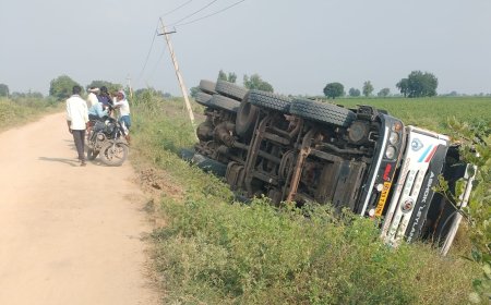 ಲಾರಿ ಪಲ್ಟಿ ಚಾಲಕನಿಗೆ ಗಂಭೀರ ಗಾಯ