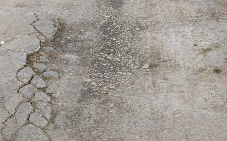 ಜೇವರ್ಗಿ–ಯಡ್ರಾಮಿ ಮುಖ್ಯ ರಸ್ತೆಯಲ್ಲಿ ತಗ್ಗು ಗುಂಡಿಗಳ ದರ್ಬಾರ್-ಮಹಾಂತಗೌಡ ಪಾಟೀಲ