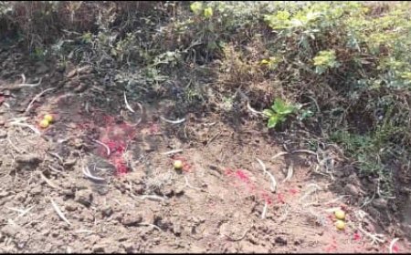 ಬಿಳವಾರ ಗ್ರಾಮದಲ್ಲಿ ವಾಮಾಚಾರದ ಆತಂಕ – ಜಮೀನಿನಲ್ಲಿ ಸಂಶಯಾಸ್ಪದ ವಸ್ತುಗಳ ಪತ್ತೆ