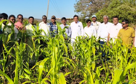 ಹಬ್ಬದ ಪ್ರಯುಕ್ತ  ಉದಯಕುಮಾರ ಪಾಟೀಲ್ ಔತಣಕೂಟ ಏರ್ಪಡಿಸಿ, ಸಂಭ್ರಮಿಸಿದ ರೈತ ಮುಖಂಡ ಉದಯಕುಮಾರ ಪಾಟೀಲ್