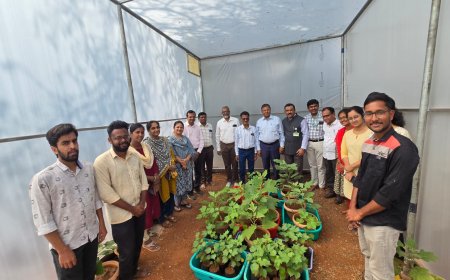 ಸಸ್ಯಗಳ ವೈರಸ್ ನಂಜು ರೋಗ ಹರಡುವ  ಅಧ್ಯಯನ ಅತ್ಯಾಗತ್ಯ