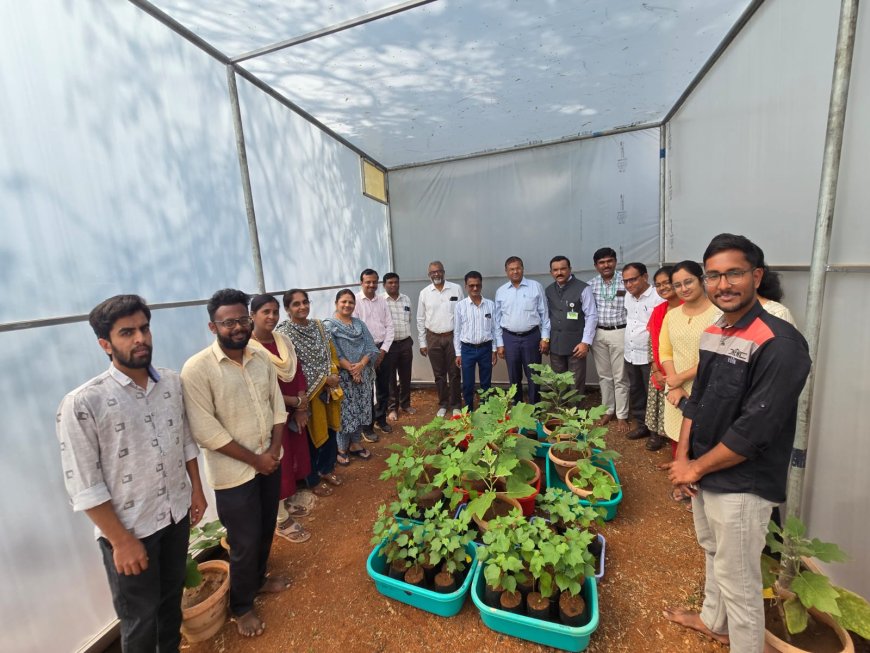 ಸಸ್ಯಗಳ ವೈರಸ್ ನಂಜು ರೋಗ ಹರಡುವ  ಅಧ್ಯಯನ ಅತ್ಯಾಗತ್ಯ