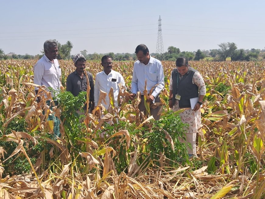 ಅರಿಶಿಣ ಸಮಗ್ರ ಬೆಳೆ ನಿರ್ವಹಣೆ ಗೆ ನೂತನ ತಳಿ ಅಗತ್ಯ