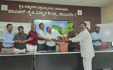 ಬಾಳೆ ಕೃಷಿ ಲಾಭದಾಯಕವಾಗಲು ವೈಜ್ಞಾನಿಕ ತಾಂತ್ರಿಕತೆ ಅಳವಡಿಸಿ