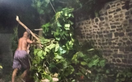 ಬಿರುಗಾಳಿ, ಮಳೆಗೆ ನೆಲ್ಲಕ್ಕುರುಳಿದ ಮರ