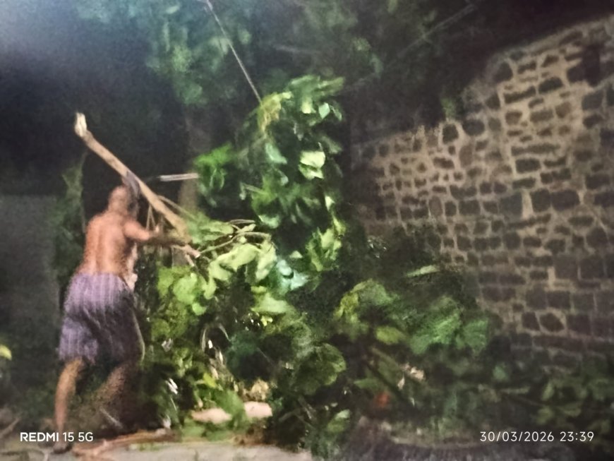 ಬಿರುಗಾಳಿ, ಮಳೆಗೆ ನೆಲ್ಲಕ್ಕುರುಳಿದ ಮರ