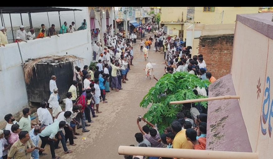 ನರೇಗಲ್ಲ ನಲ್ಲಿ  ಬಿಳಿ ಎತ್ತು ಕರಿ ಹರಿದವು.