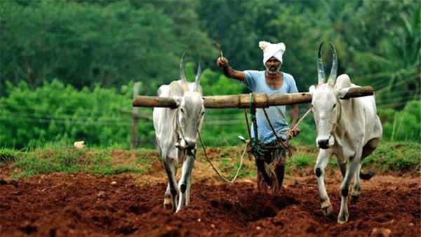 ಕಮಲನಗರ ರೈತರಿಗೆ ಶೀಘ್ರ ಬೆಳೆ ವಿಮೆ ಪರಿಹಾರ ಕಲ್ಪಿಸಿ: ಶಾಸಕ ಪ್ರಭು ಚವ್ಹಾಣ