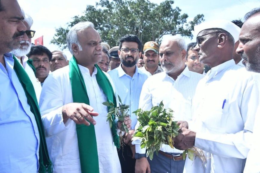 ಔರಾದ್‌ನಲ್ಲಿ ಸಚಿವ ಪ್ರಿಯಾಂಕ್ ಖರ್ಗೆ ಬೆಳೆ ಪರಿಶೀಲನೆ