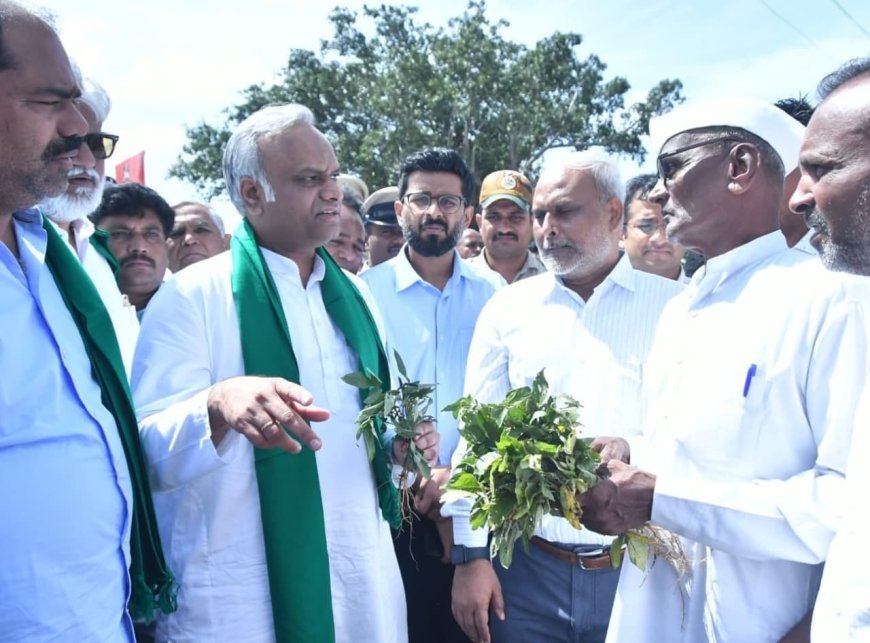 ಔರಾದ್‌ನಲ್ಲಿ ಸಚಿವ ಪ್ರಿಯಾಂಕ್ ಖರ್ಗೆ ಬೆಳೆ ಪರಿಶೀಲನೆ