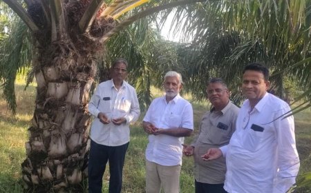 ಪಾಮ್‌ ಮರಗಳ ಬೆಳೆ ವೀಕ್ಷಿಸಿ ಕೃಷಿಕರೊಂದಿಗೆ ಚರ್ಚೆ
