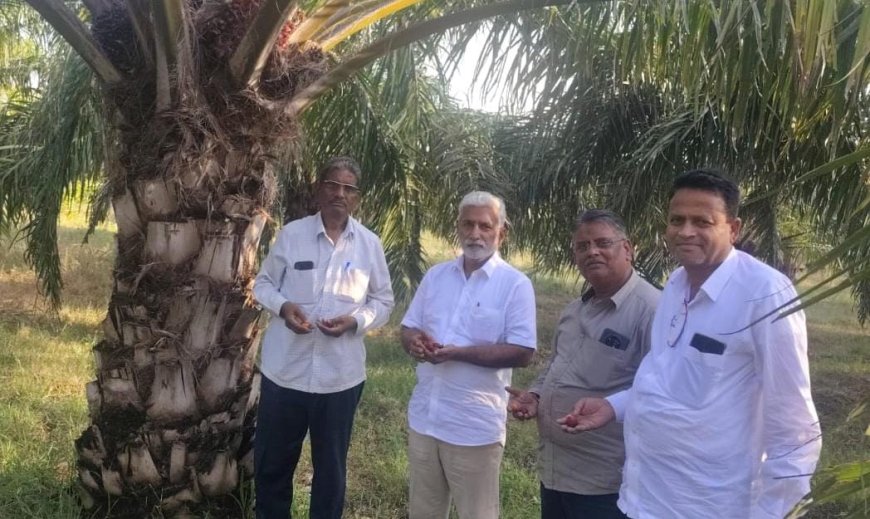 ಪಾಮ್‌ ಮರಗಳ ಬೆಳೆ ವೀಕ್ಷಿಸಿ ಕೃಷಿಕರೊಂದಿಗೆ ಚರ್ಚೆ