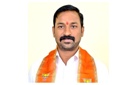 ವಾಡಿ ಪಟ್ಟಣದಲ್ಲಿ ಮೂಲಭೂತ ಸೌಕರ್ಯ ಒದಗಿಸಲು ಜಿಲ್ಲಾಧಿಕಾರಿಗಳಿಗೆ ಬಿಜೆಪಿ ಕಾರ್ಯಕರ್ತರು ಮನವಿ